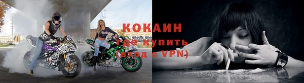 кокс Алексин