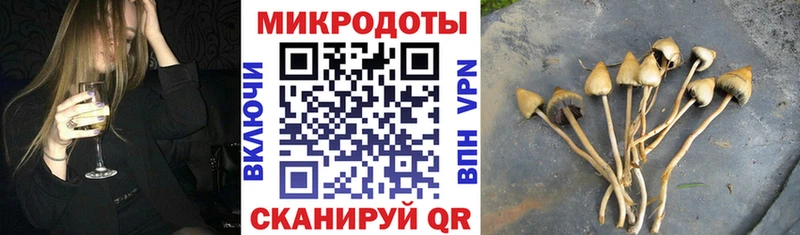 Галлюциногенные грибы прущие грибы  Кудрово 