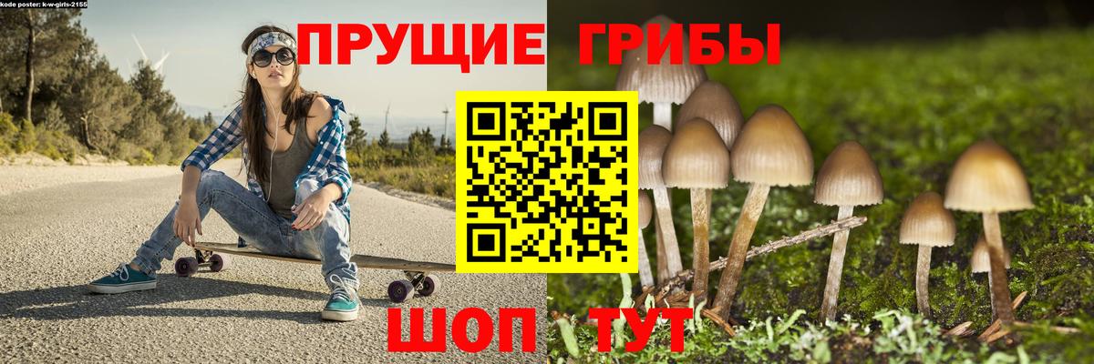Галлюциногенные грибы Psilocybine cubensis  Галлюциногенные грибы GOLDEN TEACHER  Вход с VPN  Кудрово 