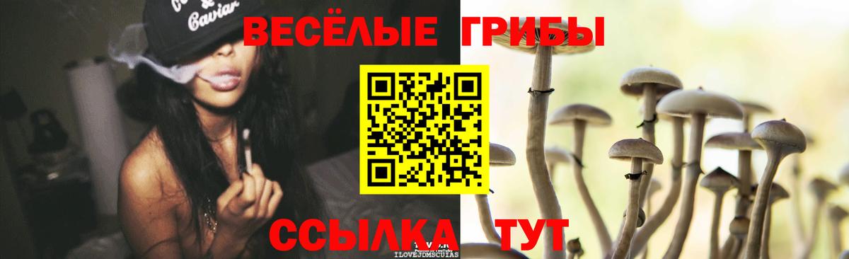 Галлюциногенные грибы мухоморы Кудрово